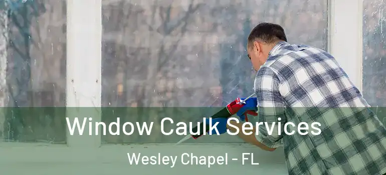  Window Caulk Services Wesley Chapel - FL