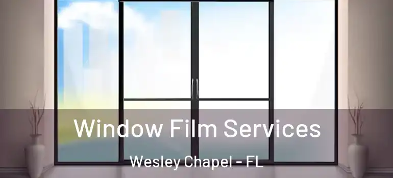  Window Film Services Wesley Chapel - FL