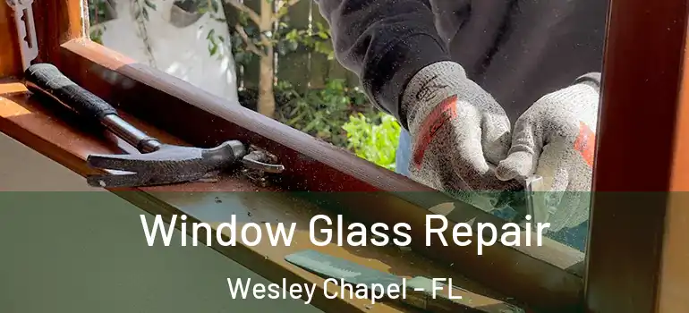  Window Glass Repair Wesley Chapel - FL