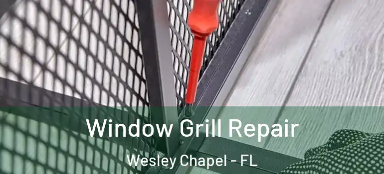  Window Grill Repair Wesley Chapel - FL