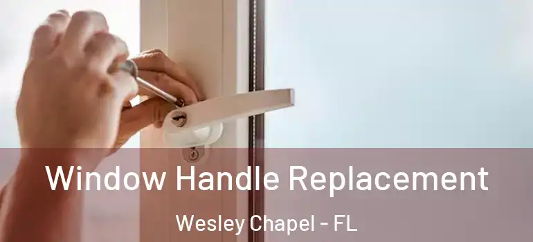  Window Handle Replacement Wesley Chapel - FL