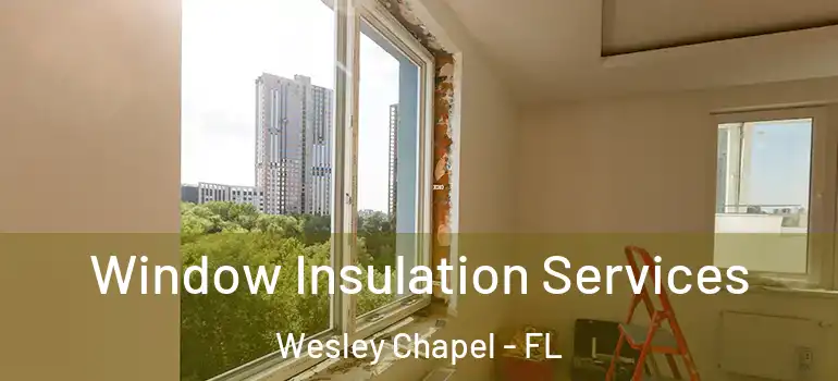  Window Insulation Services Wesley Chapel - FL