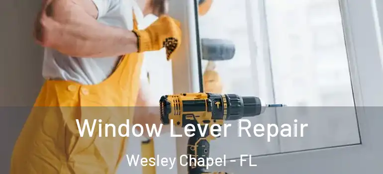  Window Lever Repair Wesley Chapel - FL