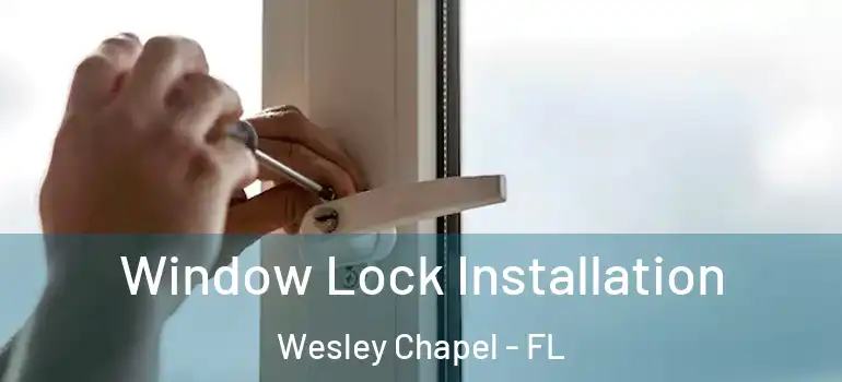  Window Lock Installation Wesley Chapel - FL