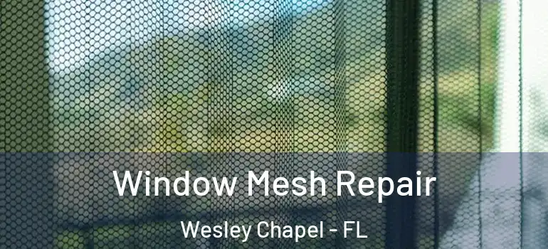  Window Mesh Repair Wesley Chapel - FL