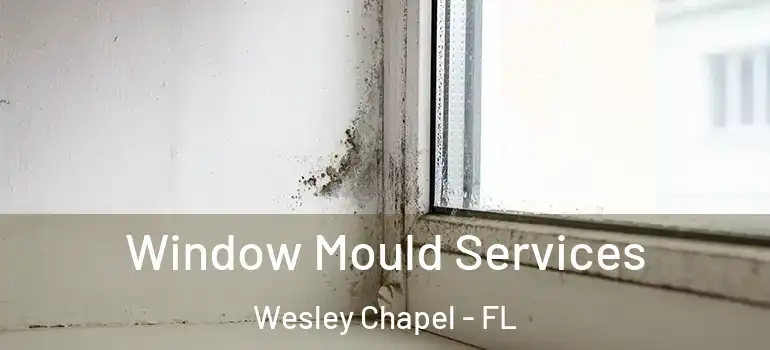  Window Mould Services Wesley Chapel - FL