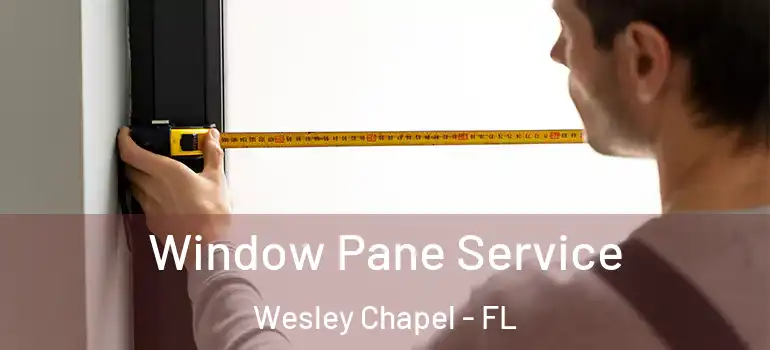  Window Pane Service Wesley Chapel - FL