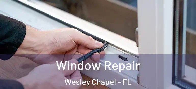  Window Repair Wesley Chapel - FL