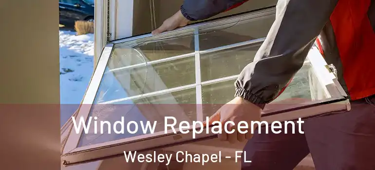  Window Replacement Wesley Chapel - FL