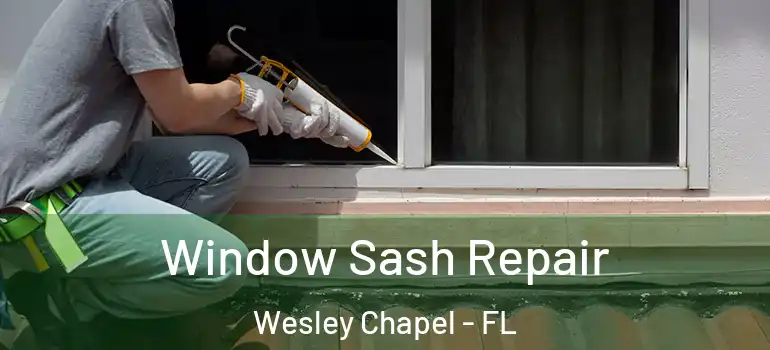  Window Sash Repair Wesley Chapel - FL