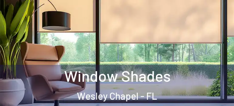  Window Shades Wesley Chapel - FL