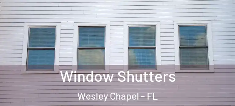  Window Shutters Wesley Chapel - FL
