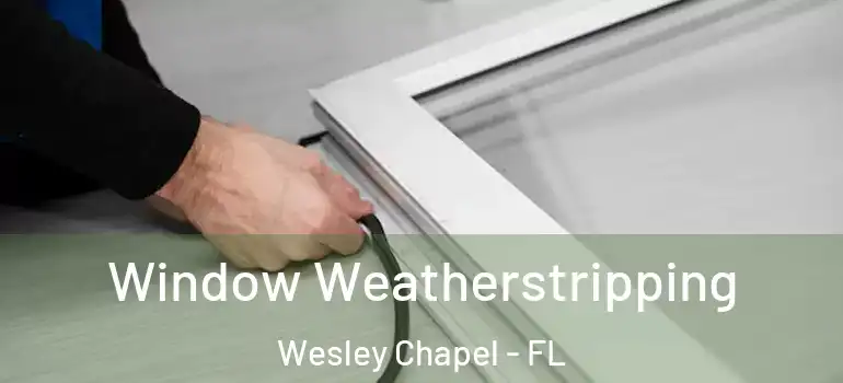  Window Weatherstripping Wesley Chapel - FL
