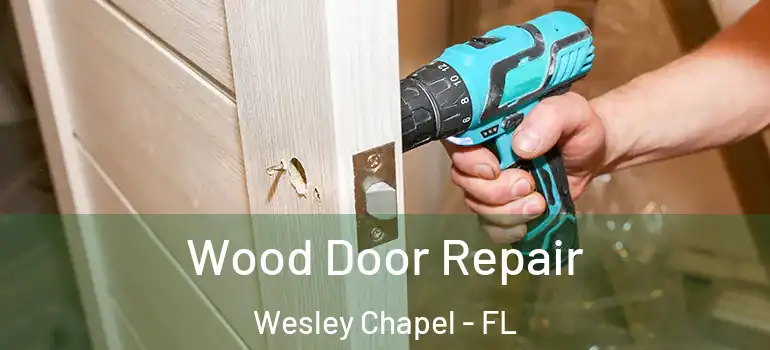  Wood Door Repair Wesley Chapel - FL